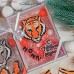 ЮНабор мыла "Тигр и С Новым Годом" в подарочной коробке