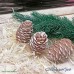 Мыло "Шишка кедровая" Мыло "Шишка кедровая"
