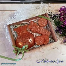 NatureSpa Набор сувенирного мыла "Золотые монеты" в подарочной коробке NatureSpa Набор сувенирного мыла "Золотые монеты" в подарочной коробке