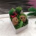 NatureSpa сувенирное мыло "Коробка совят" - 1 в подарочной коробке NatureSpa сувенирное мыло "Коробка совят" - 1 в подарочной коробке