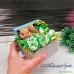 NatureSpa Мыло "Букет белка в коробке" с подснежниками