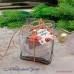 НАТУРЕСПА NatureSpa сувенирное мыло "Десерт Павлова" апельсин шоколад в подарочной коробке НАТУРЕСПА NatureSpa сувенирное мыло "Десерт Павлова" апельсин шоколад в подарочной коробке